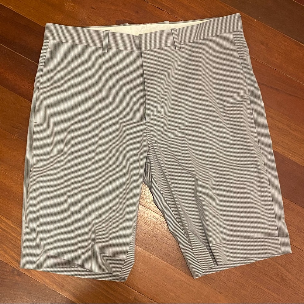 Theory Shorts